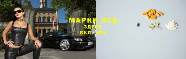 стаф Хадыженск