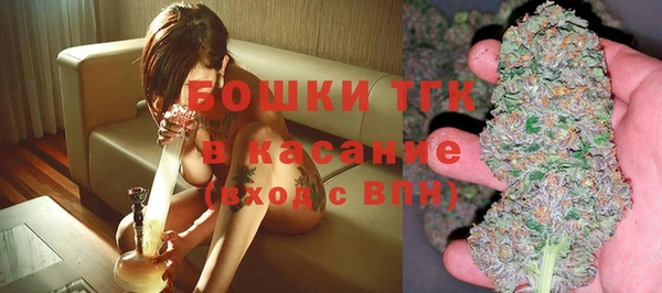 стаф Хадыженск