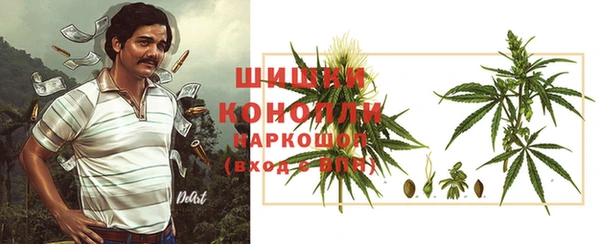 стаф Хадыженск