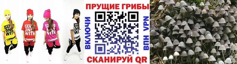 Псилоцибиновые грибы мухоморы  кракен   Комсомольск-на-Амуре 