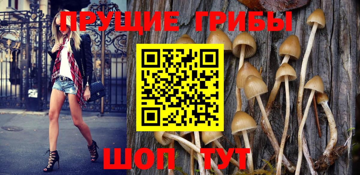Комсомольск-на-Амуре  Псилоцибиновые грибы Psilocybe  Вход с VPN 